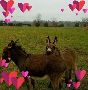 Meet your Posher, Rita